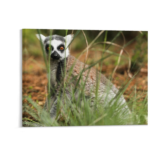 Lemur Wall Art Framed Canvas Wildlife Animal Decor-15