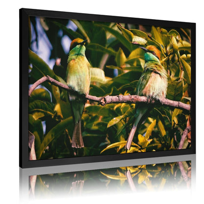 Tropical Toucan Duo Wall Art – Modern Nature Photography Print-13