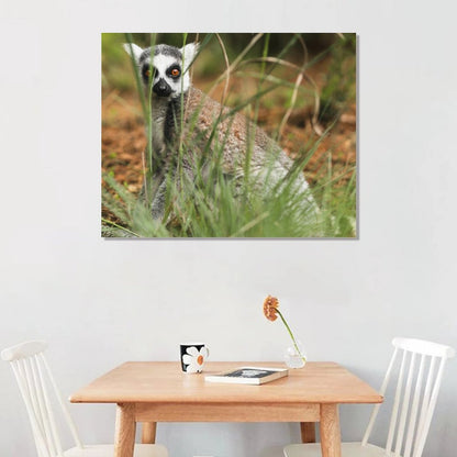 Lemur Wall Art Framed Canvas Wildlife Animal Decor-15