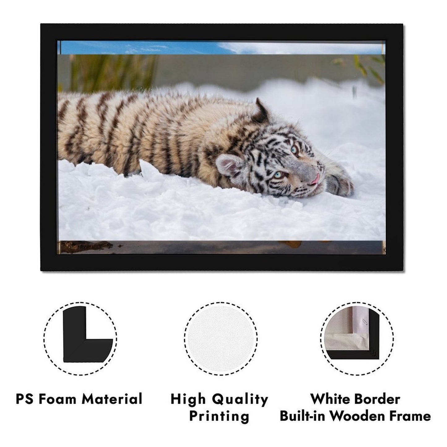 Snow Tiger Cub Canvas Wall Art – Modern Framed Home Décor (19)