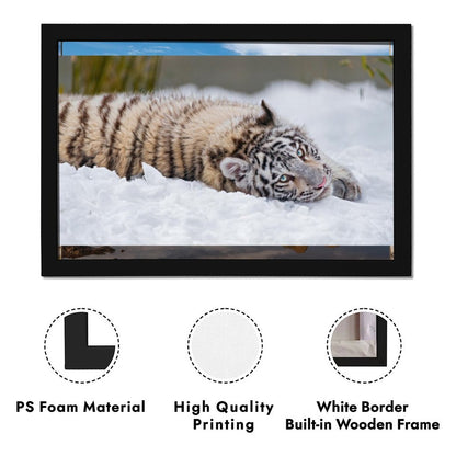 Snow Tiger Cub Canvas Wall Art – Modern Framed Home Décor (19)