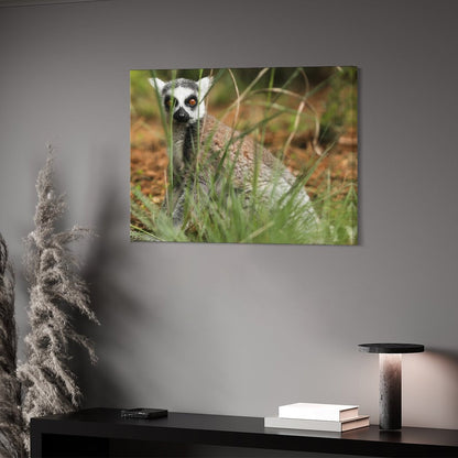 Lemur Wall Art Framed Canvas Wildlife Animal Decor-15