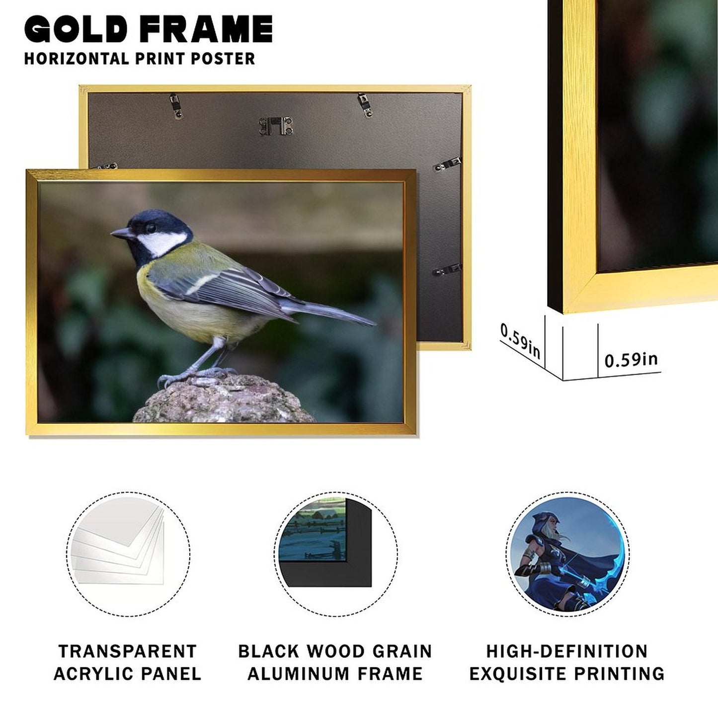 Colorful Bird Photography Wall Art – Modern Nature Print Decor-136