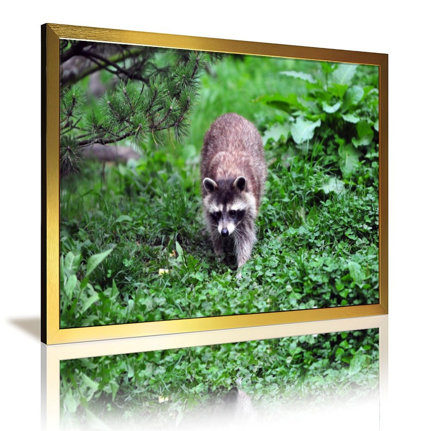 Nature Animal Wall Art Cute Raccoon in Tree Decoration-07