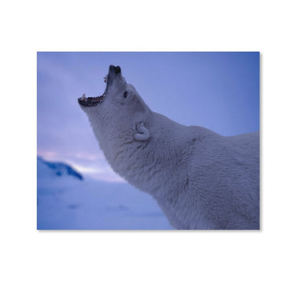 Arctic Majesty Polar Bear Canvas Wall Art-017