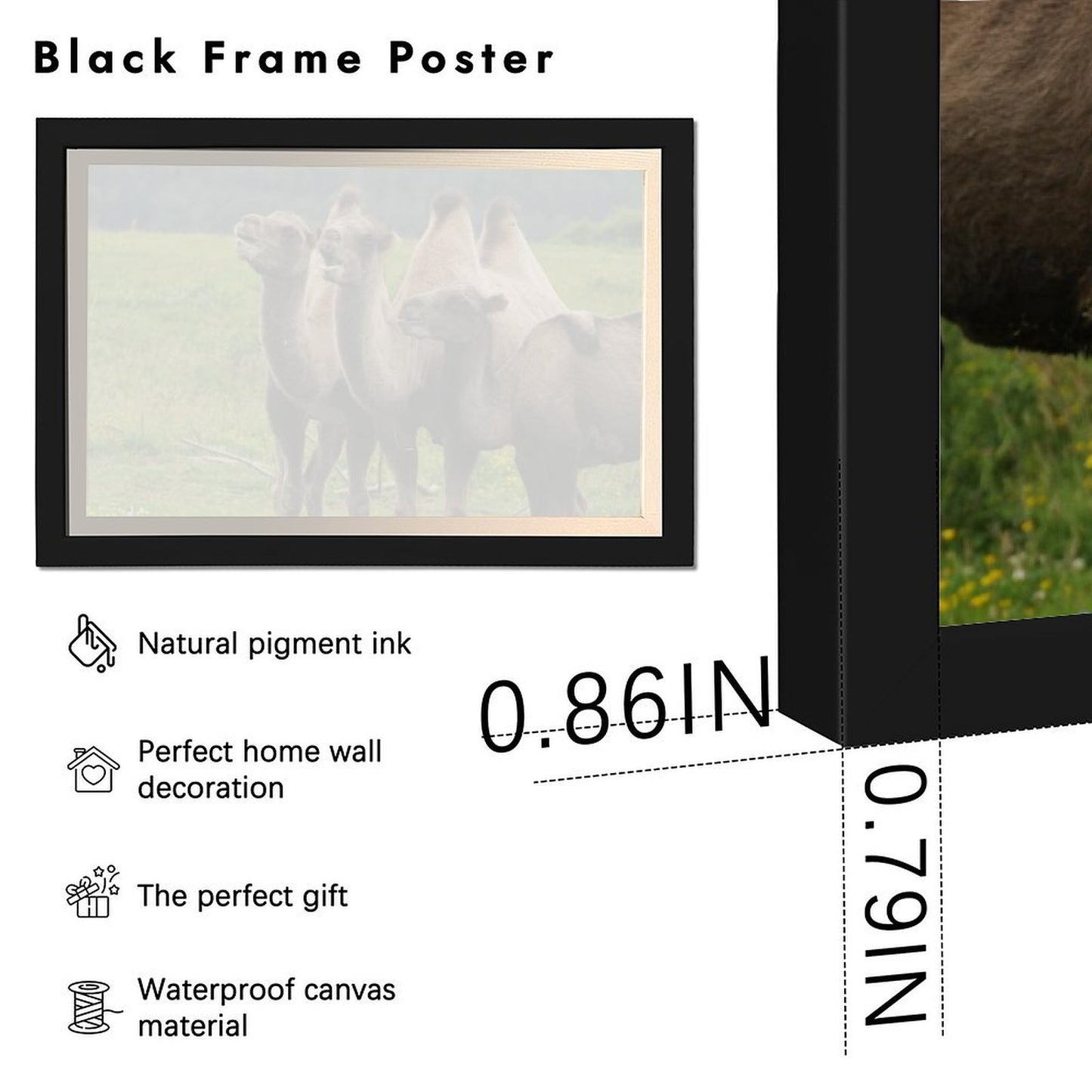 Camel Herd Wall Art Black Frame Desert Animal Decor-11