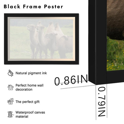Camel Herd Wall Art Black Frame Desert Animal Decor-11
