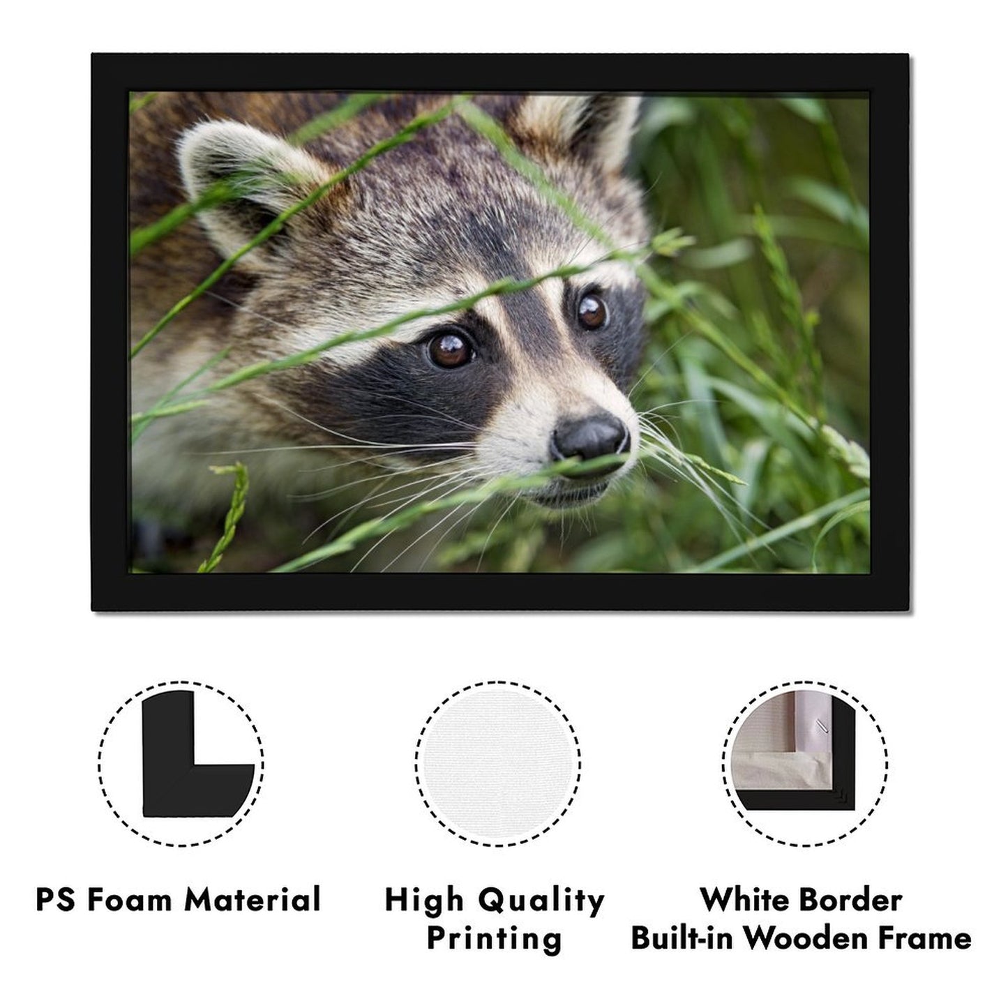 Cute Raccoon Canvas Painting with Golden Wooden Frame-012