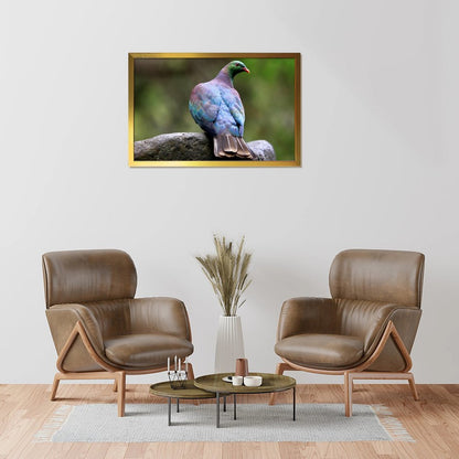 Colorful Pigeon on Rock – Modern Nature Bird Wall Art Print- 145