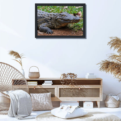 Wildlife Crocodile Wall Art Black Frame Home Decoration