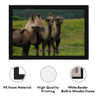 Camel Herd Wall Art Black Frame Desert Animal Decor-11
