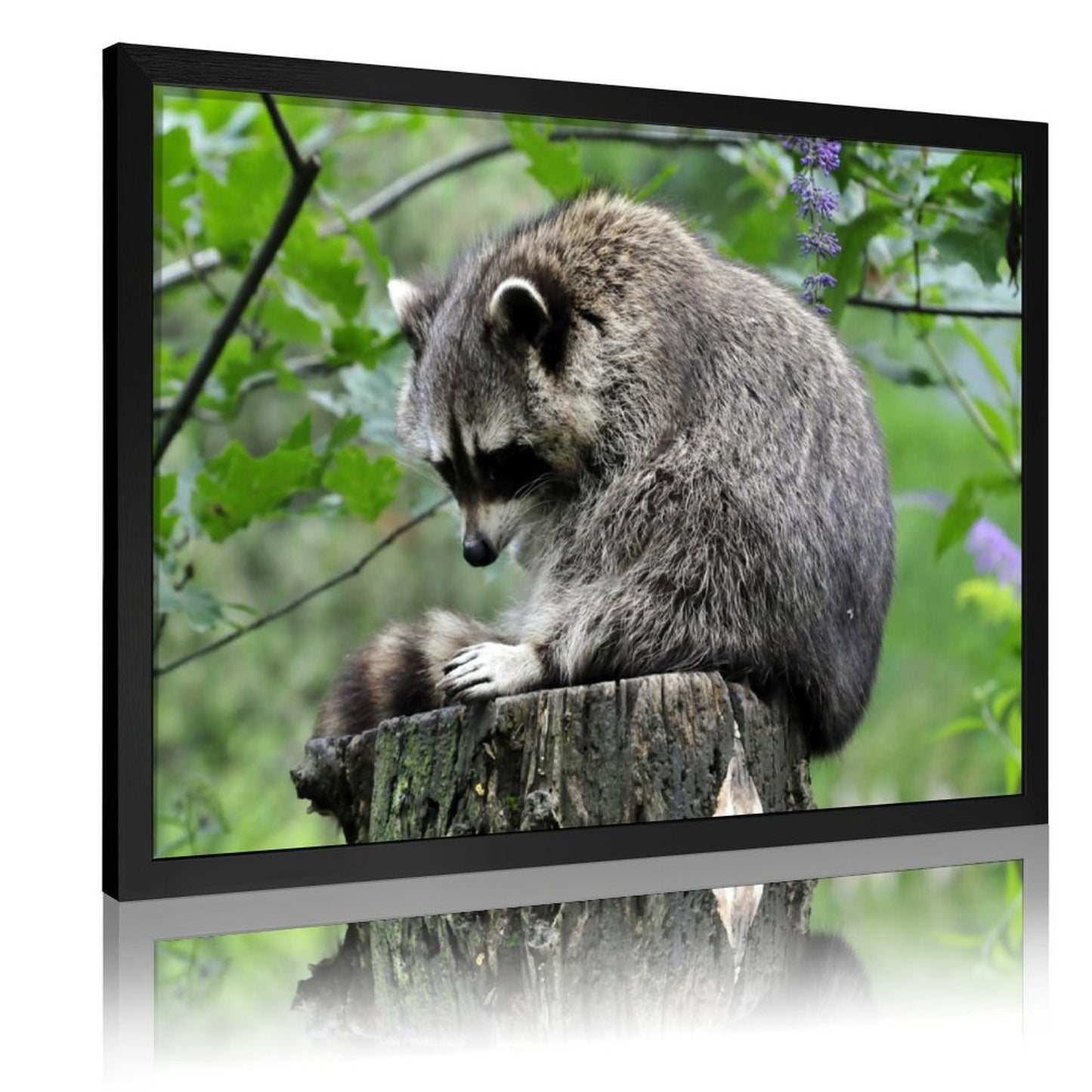 Adorable Raccoon Wall Art Forest Tree Scene Gold Frame-14