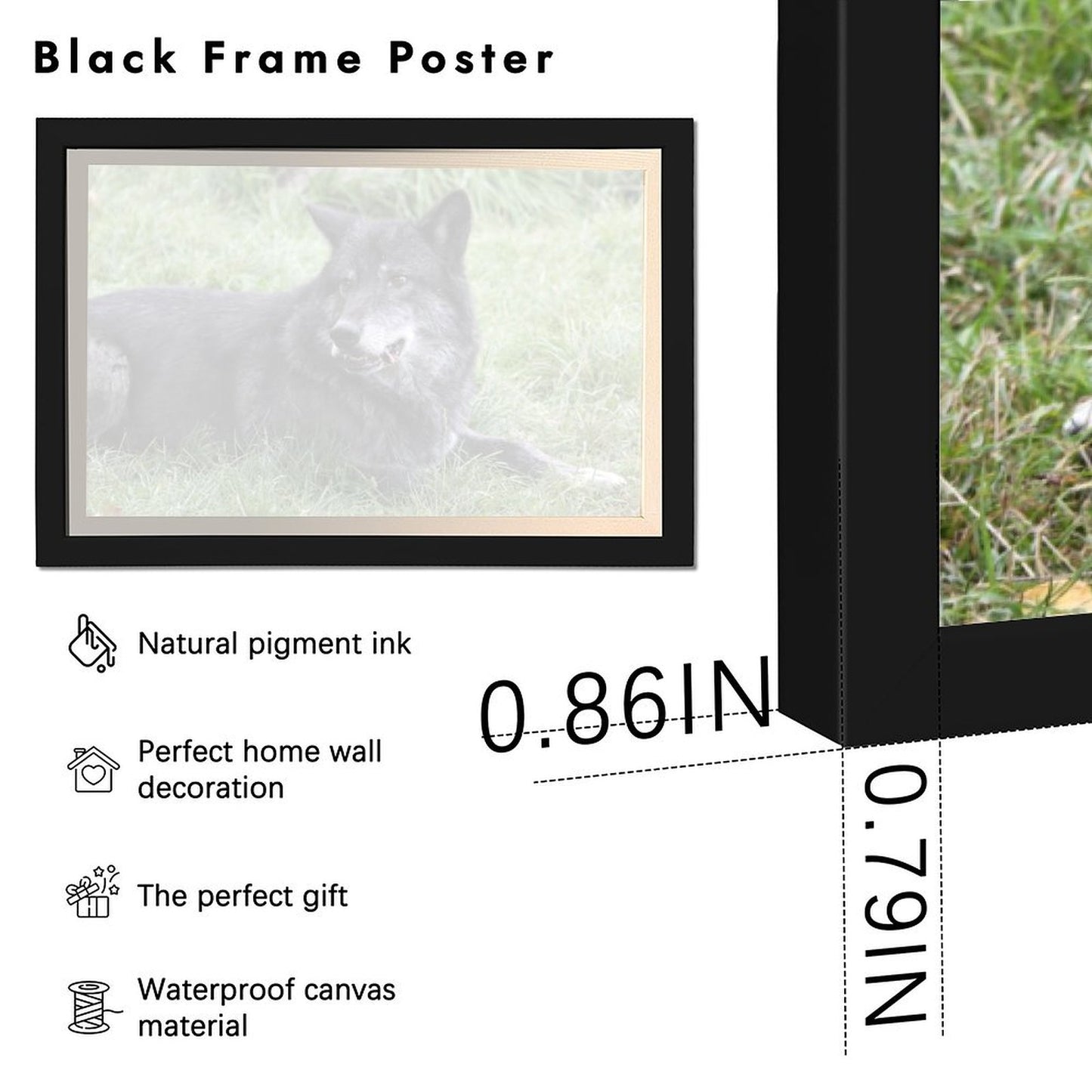 Black Wolves Wall Picture Wildlife Animal Canvas Art-33