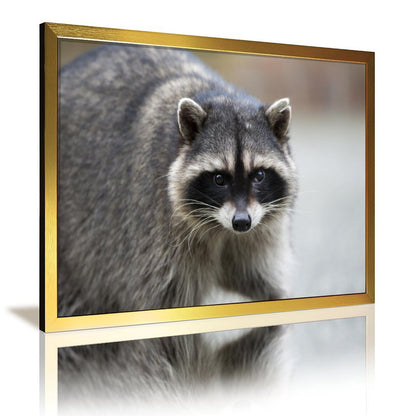 Golden Frame Raccoon Wall Painting for Living Room