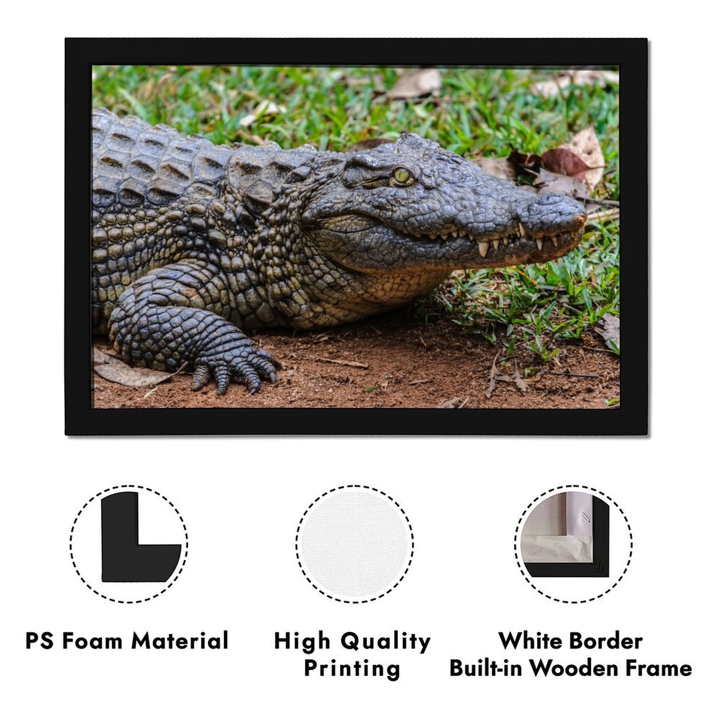 Wildlife Crocodile Wall Art Black Frame Home Decoration