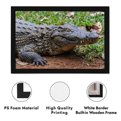 Wildlife Crocodile Wall Art Black Frame Home Decoration