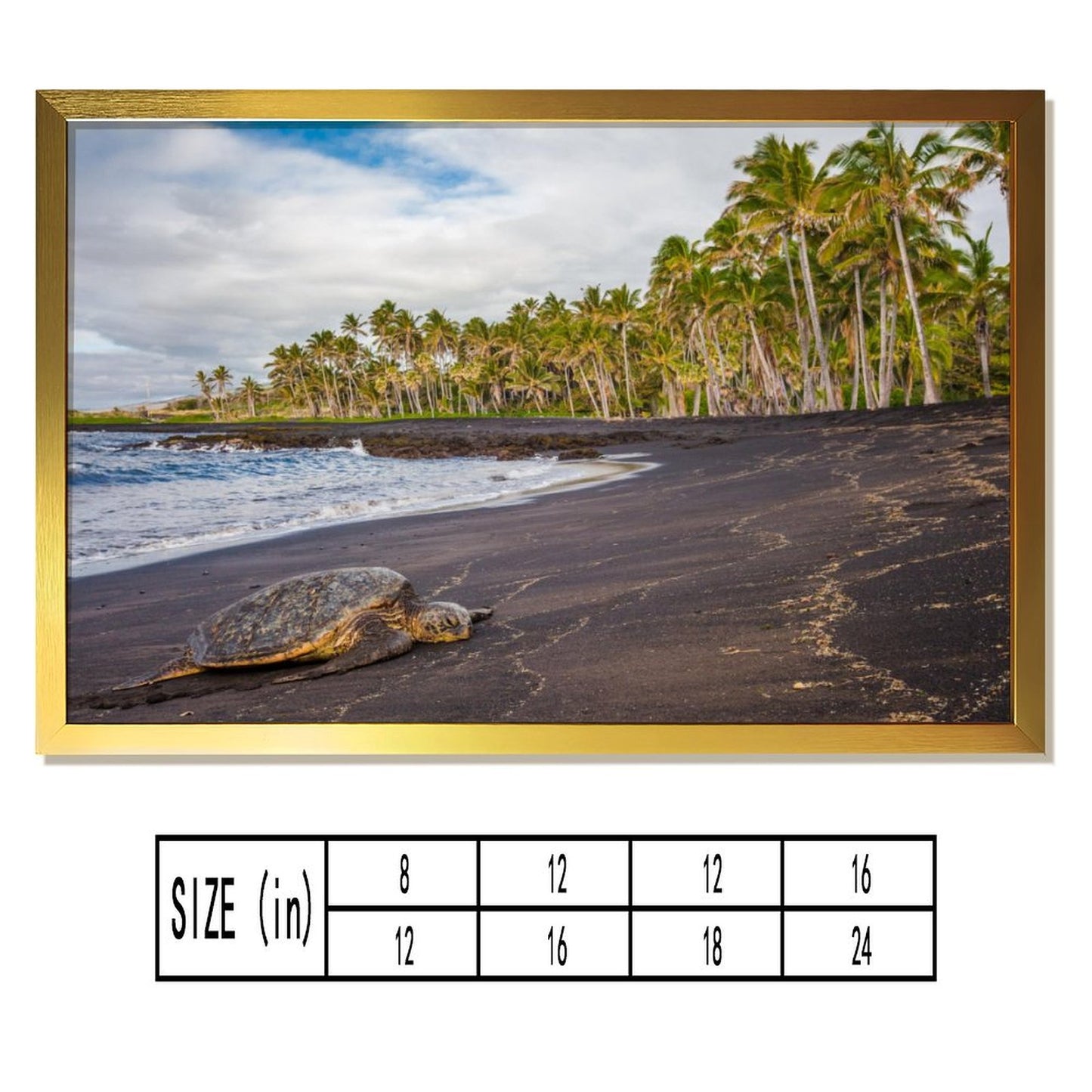 Tropical Beach Turtle Canvas Painting Wall Decoration-27