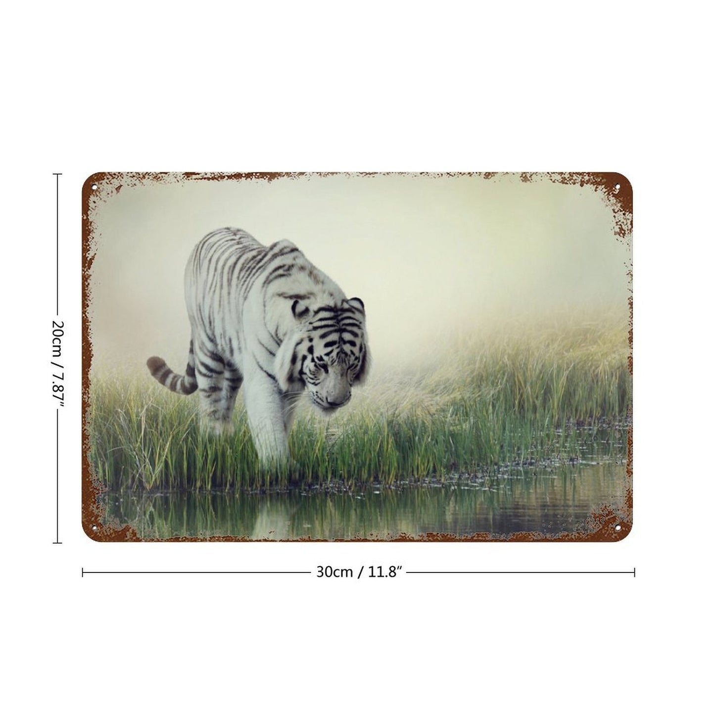Vintage White Tiger by the Lake Metal Wall Art Decor
