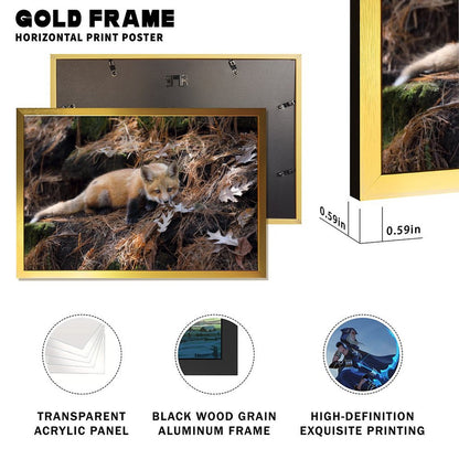 Snow Fox Wall Art with Gold Frame Nordic Home Decor-37