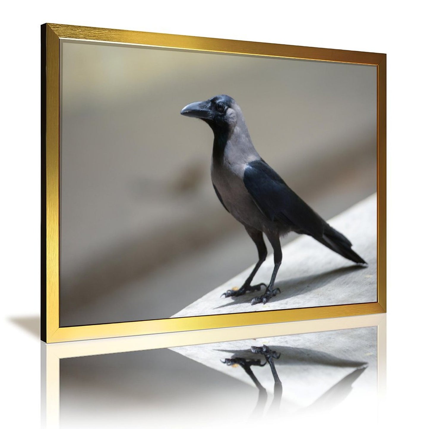 Minimalist Crow Wall Art – Modern Black Bird Photography Print- 135