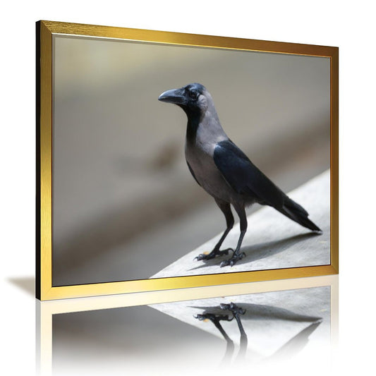 Minimalist Crow Wall Art – Modern Black Bird Photography Print- 135