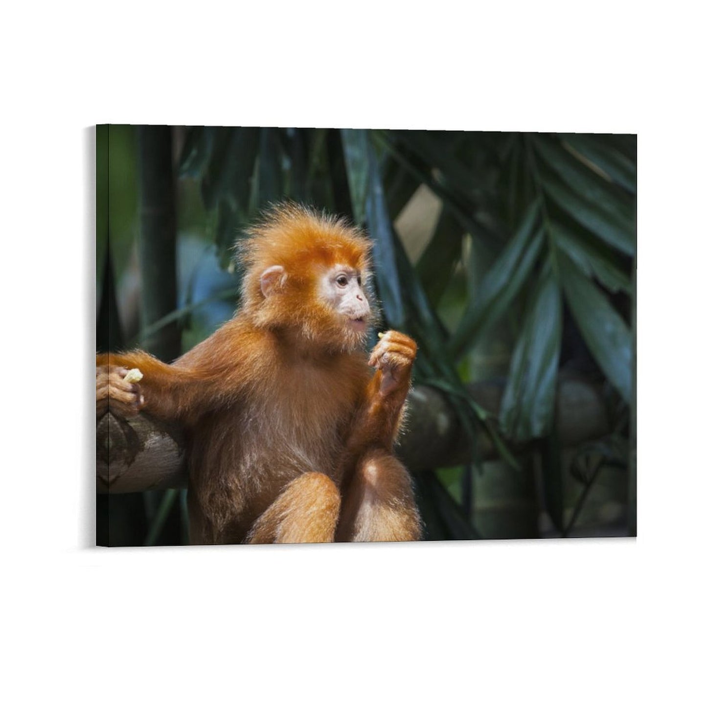 Adorable Baby Monkey Wall Picture Nursery Decoration-10