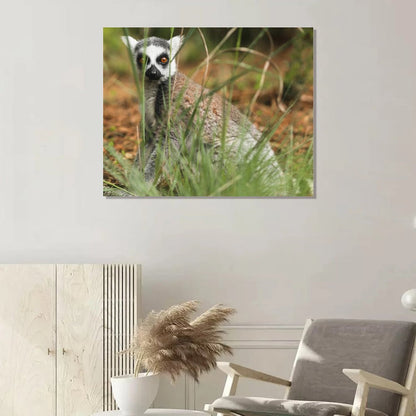 Lemur Wall Art Framed Canvas Wildlife Animal Decor-15