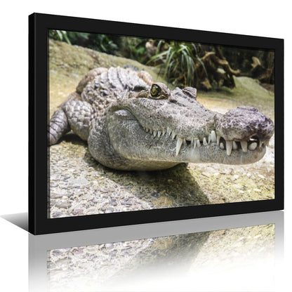 Alligator Canvas Painting Nature Animal Wall Picture