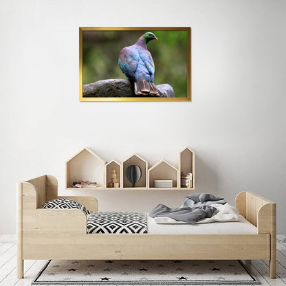 Colorful Pigeon on Rock – Modern Nature Bird Wall Art Print- 145