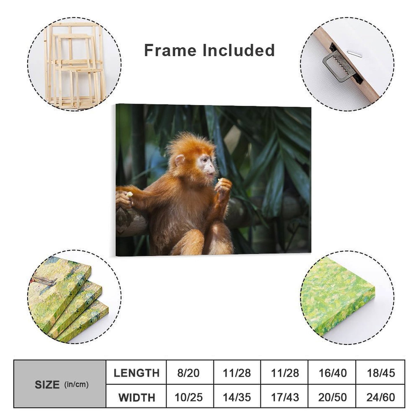 Adorable Baby Monkey Wall Picture Nursery Decoration-10