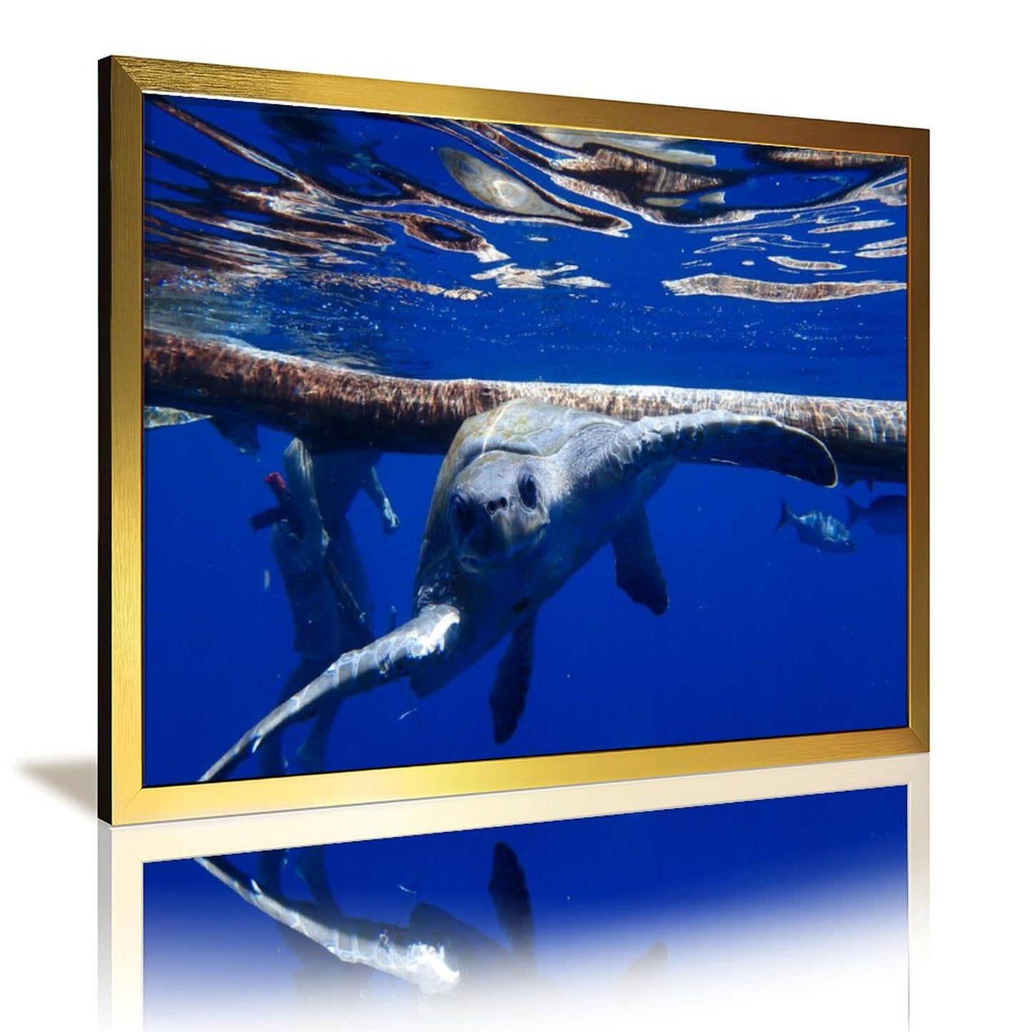 Elegant Turtle Art Print Nature Scene with Golden Frame-18