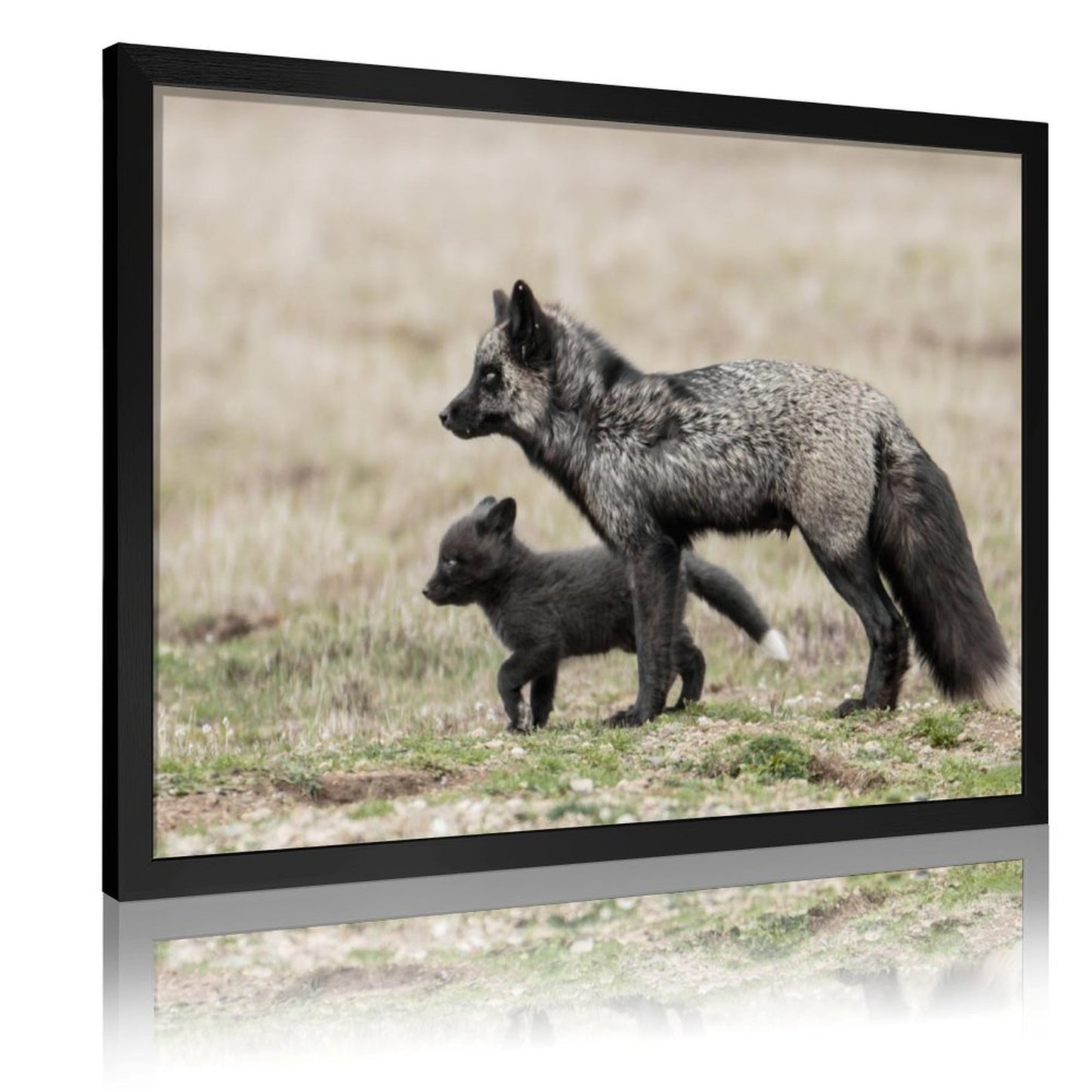 Nordic Fox Wall Picture Animal Art in Golden Frame