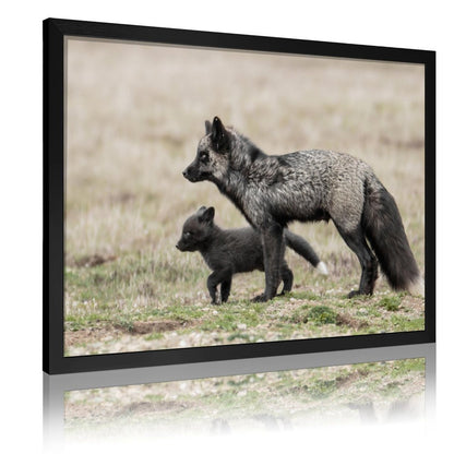 Nordic Fox Wall Picture Animal Art in Golden Frame