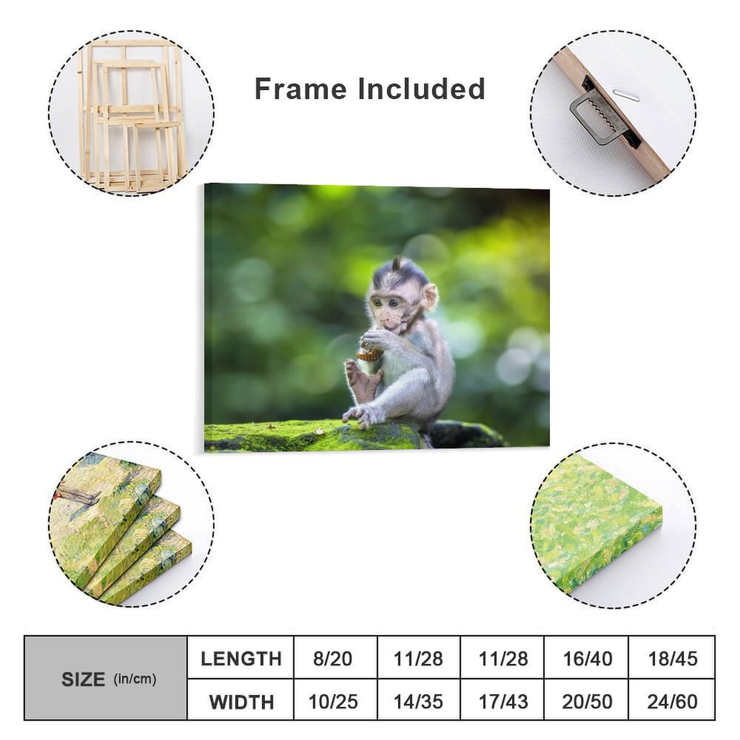 Wildlife Lemur Wall Picture Canvas Framed Artwork-06