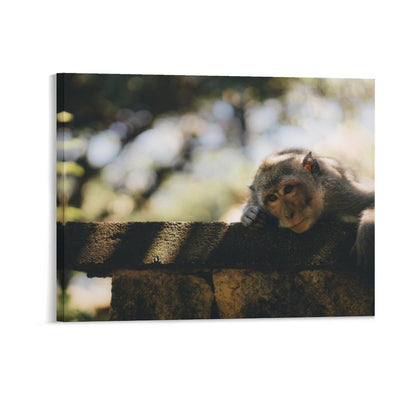 Cute Baby Monkey Canvas Painting Wildlife Home Decor-16
