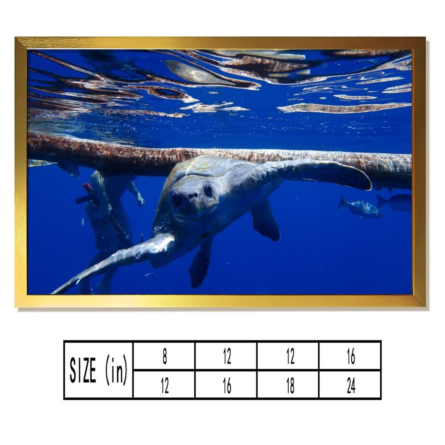 Elegant Turtle Art Print Nature Scene with Golden Frame-18