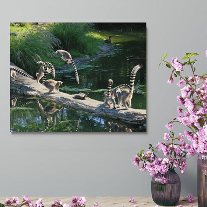 Cute Lemur Canvas Artwork Wildlife Wall Decoration-03