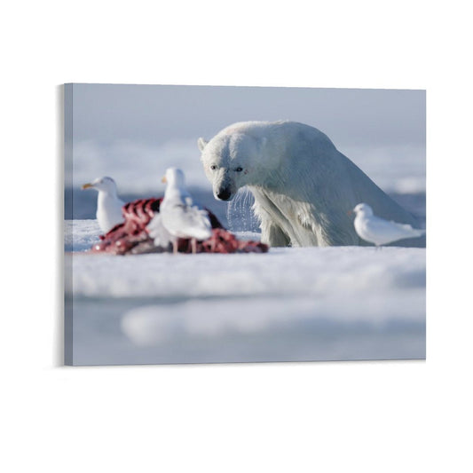 Arctic Polar Bear and Seagulls on Ice Canvas Wall Art/09