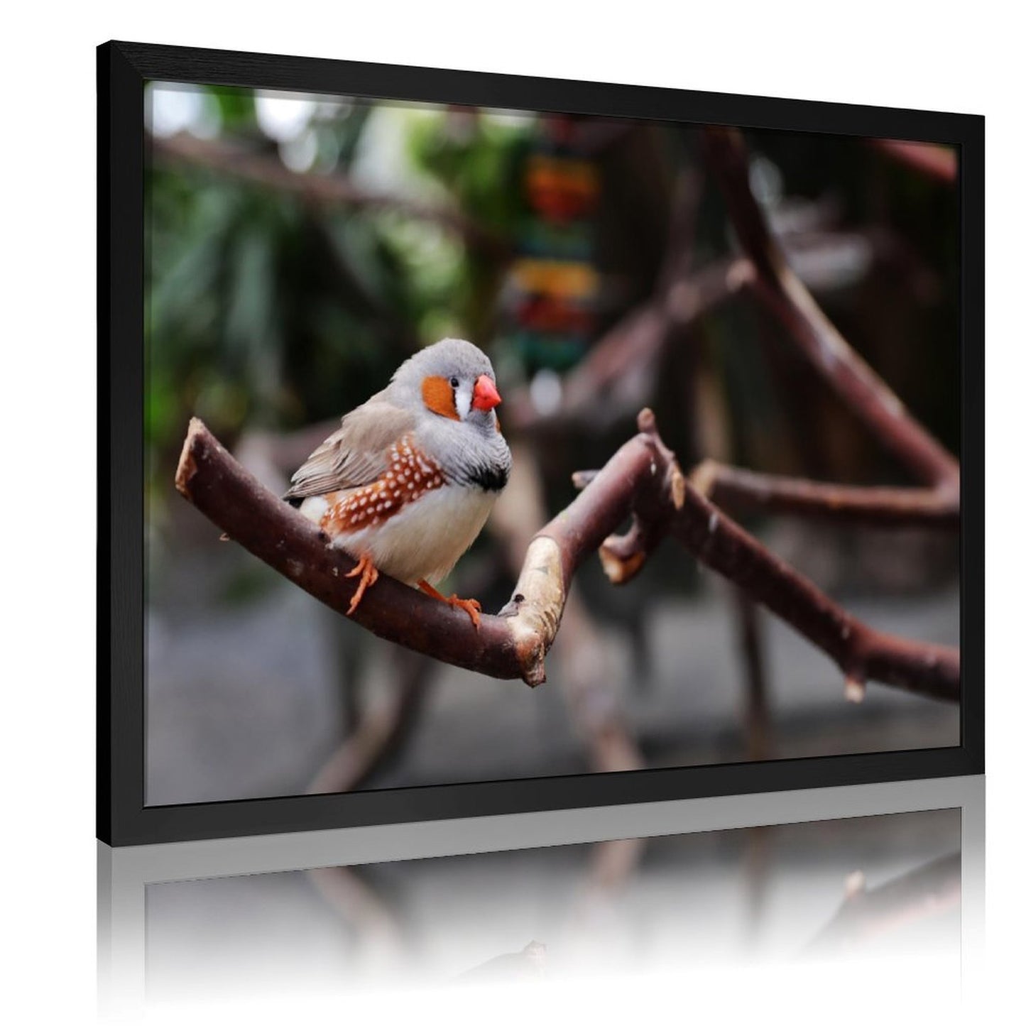 Tropical Toucan Duo Wall Art – Modern Nature Photography Print-13