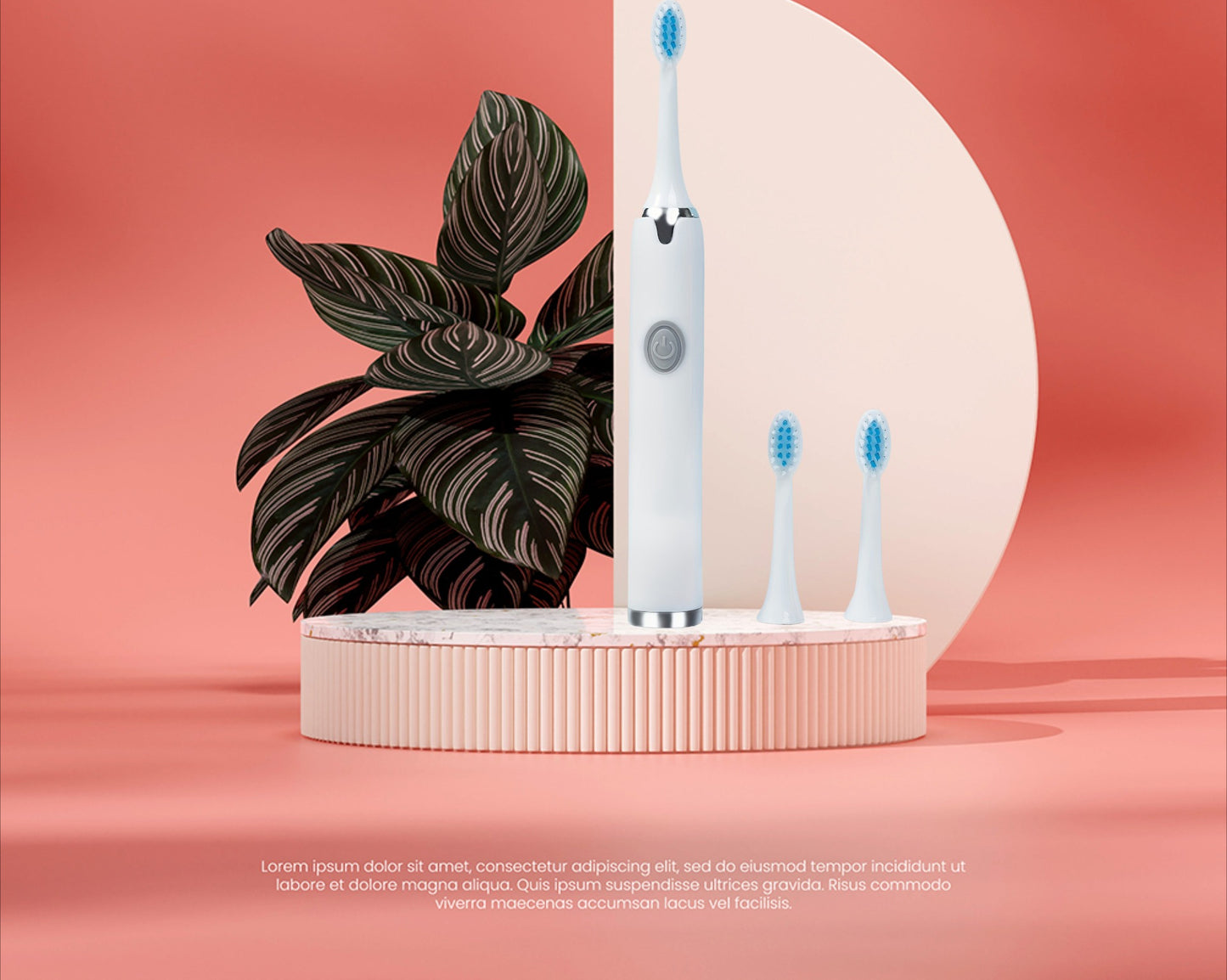 Electric Toothbrush with 3 Brush Heads Portable Travel Toothbrush Rechargeable Battery-Powered 36V or Below Includes Replacement Heads