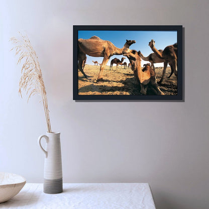 Desert Camel and Pyramid Canvas Art Modern Home Decor-02