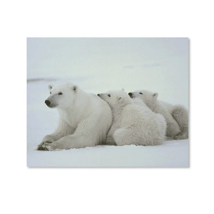 Polar Bear Family Resting on Snow Canvas Wall Art