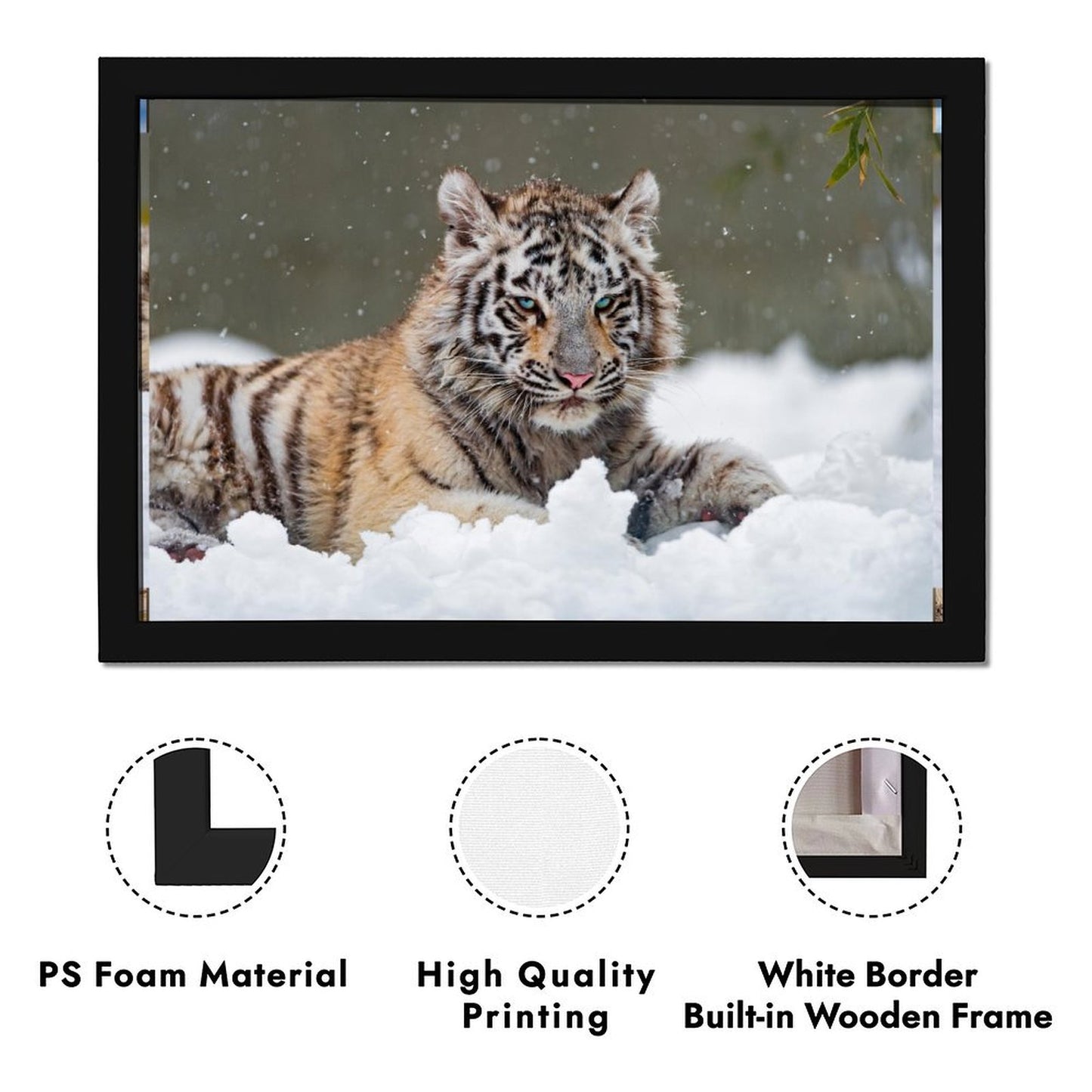 White Tiger in Snow Canvas Wall Art – Modern Framed Home Décor-18