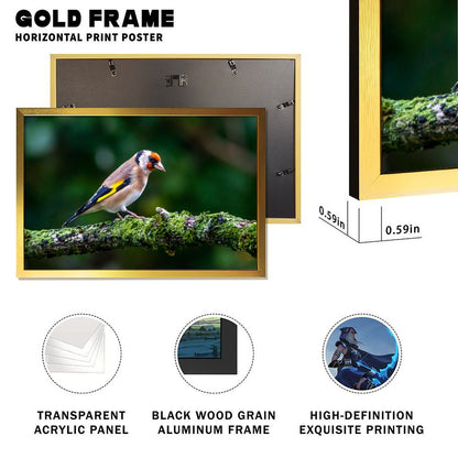 Colorful Goldfinch Bird Canvas Wall Art – Nature Photography Print-138