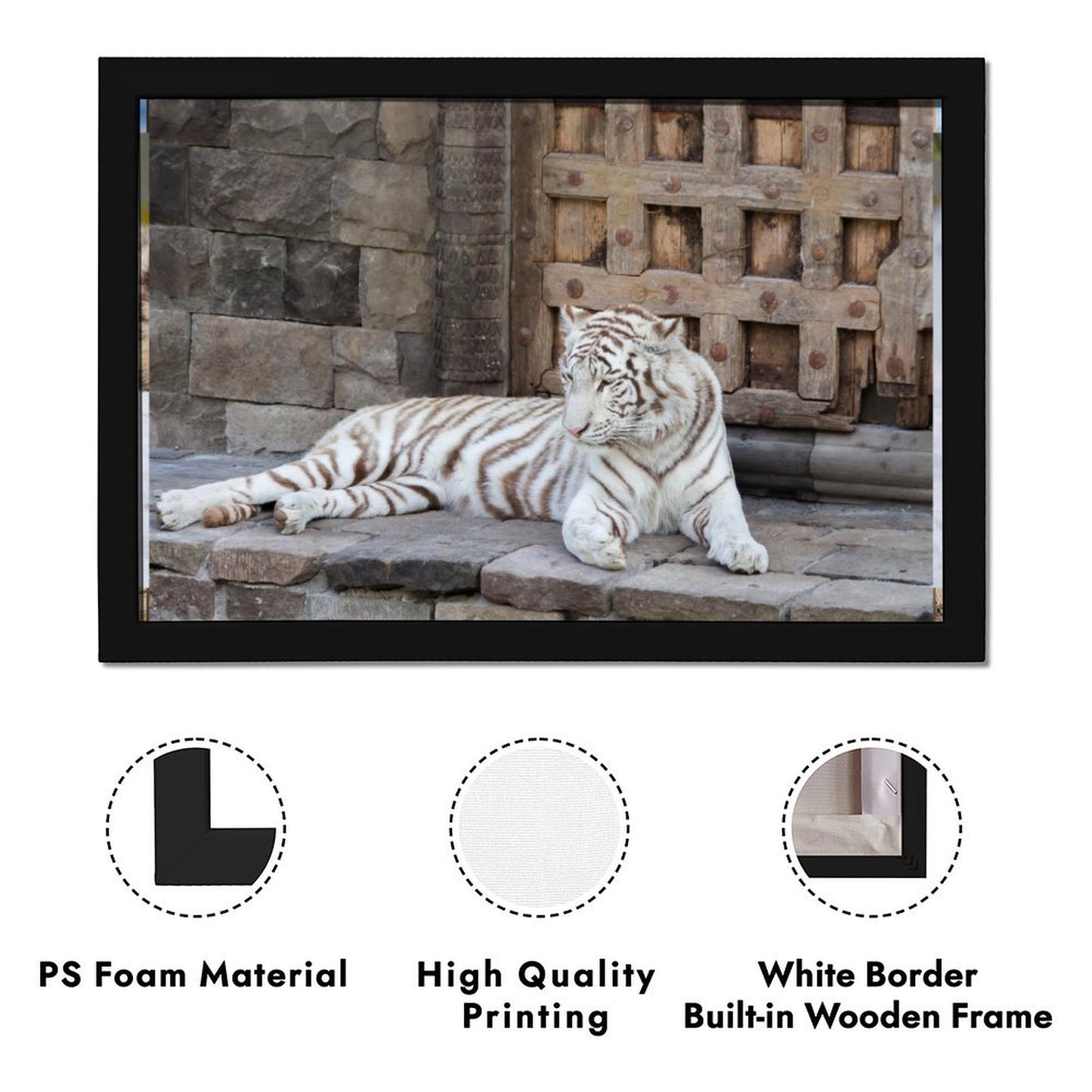 White Tiger Canvas Wall Art – Elegant Modern Animal Print Decor-14