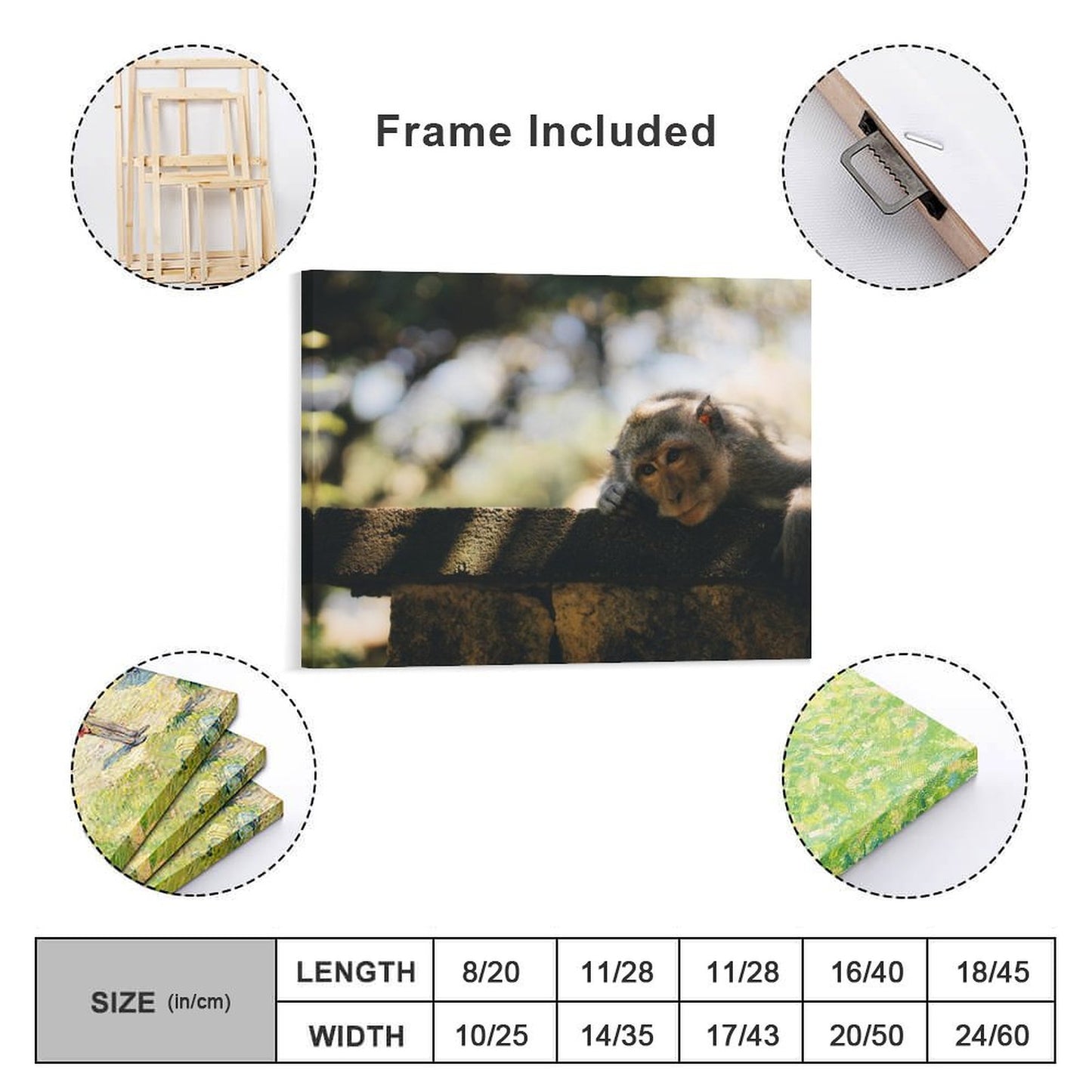 Cute Baby Monkey Canvas Painting Wildlife Home Decor-16