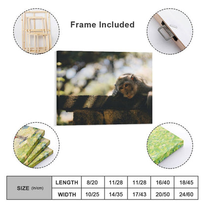 Cute Baby Monkey Canvas Painting Wildlife Home Decor-16