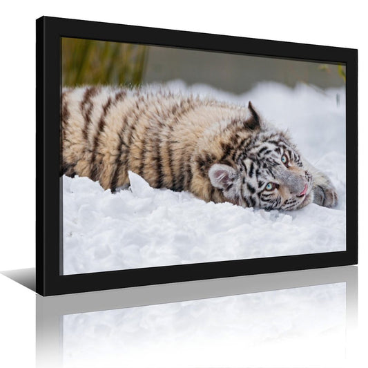 Snow Tiger Cub Canvas Wall Art
