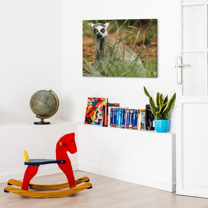 Lemur Wall Art Framed Canvas Wildlife Animal Decor-15
