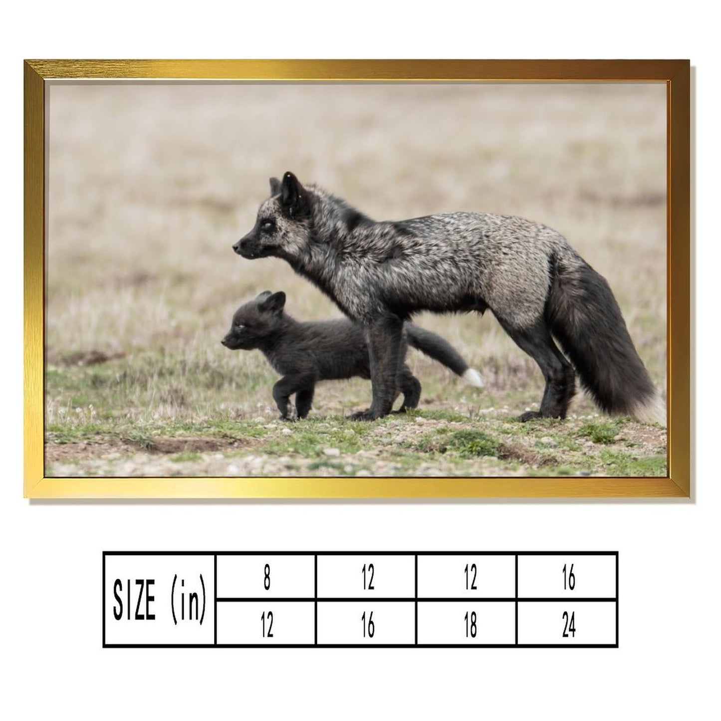 Nordic Fox Wall Picture Animal Art in Golden Frame